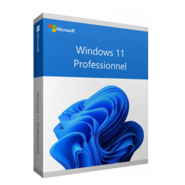 Microsoft Windows 11 Pro – Licence en volume – 100 postes